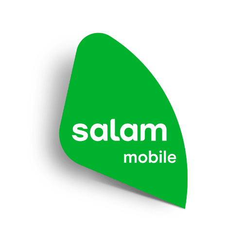 الشحن السريع داخل المدينة